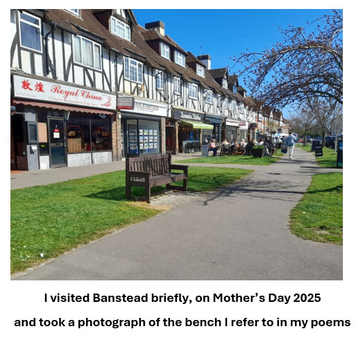 Oaktimber Banstead Peter Wells